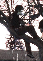 johntree1.jpg